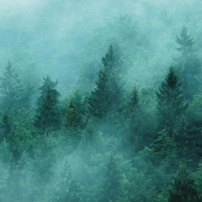 Guided Meditation For Sleep.