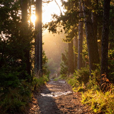 Guided Meditation For Sleep.