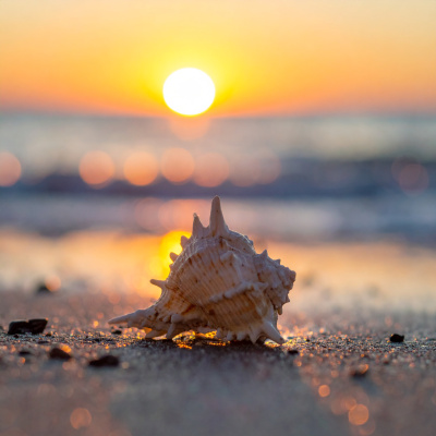 Guided Meditation For Sleep.