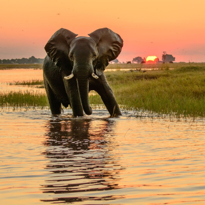 Guided Meditation For Sleep.