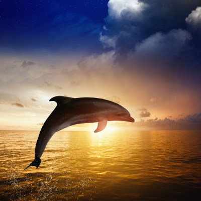 Guided Meditation For Sleep.