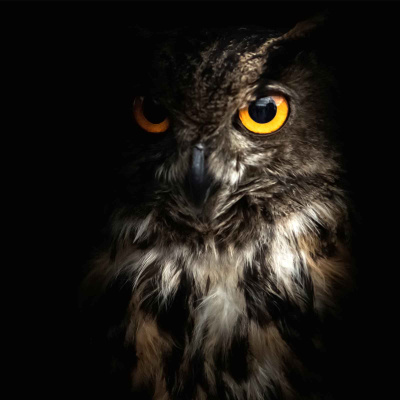 Guided Meditation For Sleep.