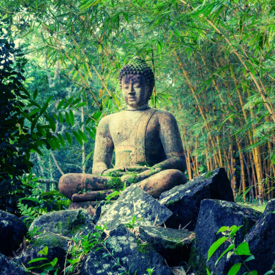 Guided Meditation For Sleep.