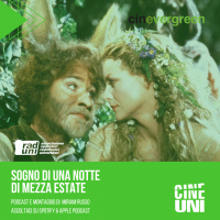 Sogno di una notte di mezza estate