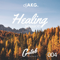 Healing Session Vol.4