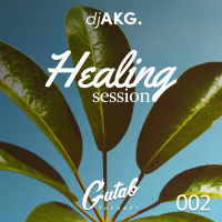 Healing Session Vol.2