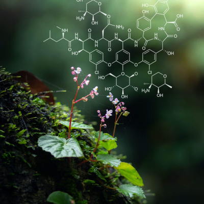 Whisky-podcast Von Eye For Spirits