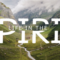 Operating Gifts of the Spirit