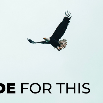 Cfc Seaton 530 Service