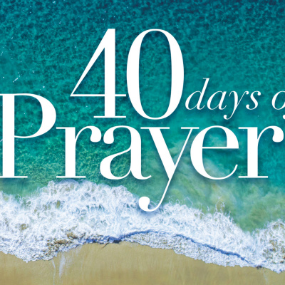 Cfc Seaton 530 Service