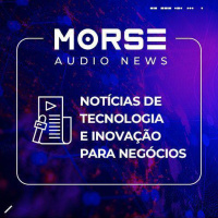 Morse News # 261 - 26/11/2024