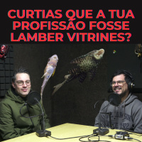 Episódio 309
