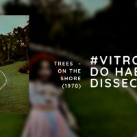 VITROLA DO HABIB EPISODIO 116-VITROLA DISSECA TREES ON THE SHORE (1971)