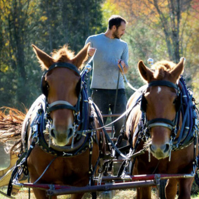 Staying Healthy Naturally- Dr. Gary Kracoff