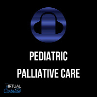 #8-1 Palliative Care: Described