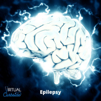 #13-3 Epilepsy: Medication  Therapy Options