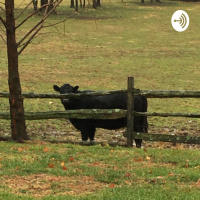 Interviewing future NBA star
