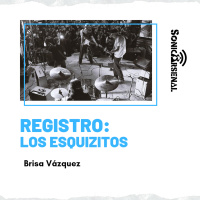 Sonic Arsenal - Registro Los Esquizitos / Brisa Vázquez