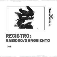 Sonic Arsenal - Registro - Rabioso/Sangriento