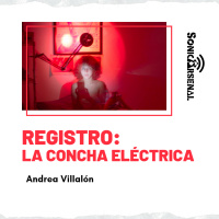 Sonic Arsenal - Registro: La Concha Eléctrica