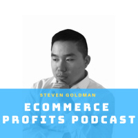 Theo Brown - How To Build A 6 Figure Sellable High Ticket Ecommerce Brand