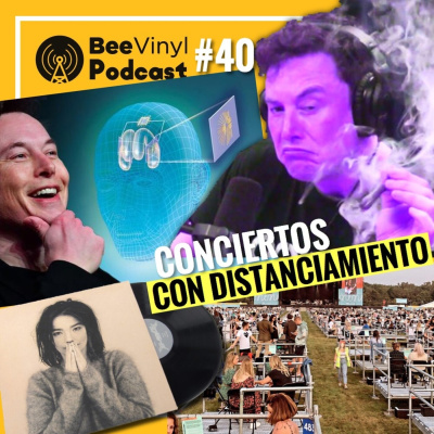 Bee Vinyl Podcast