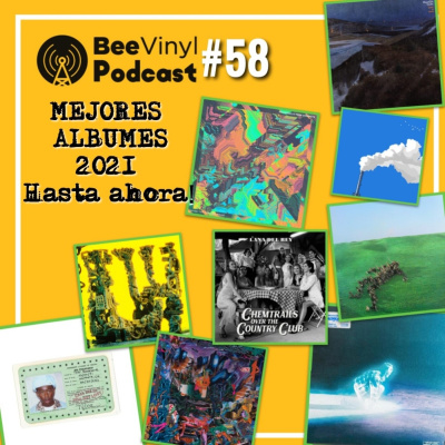 Bee Vinyl Podcast