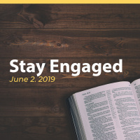 Stay Engaged
