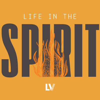 Lagan Valley Vineyard