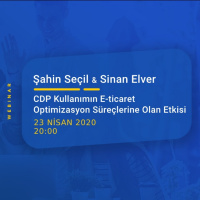 CDP Kullanımının E-ticaret Optimizasyon Süreçlerine Olan Etkisi