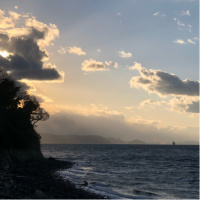 こんまりのまとめ、100問100答ビジネス