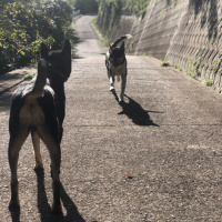 散歩しながら子育てトーク。最近、子供と過ごす時間を増やしたので感想と展望を言い合う