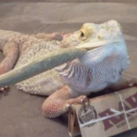 Dead in the Water #16