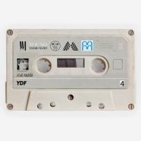 Midi Moments: Young Dumb Fever