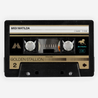 Midi Moments: Golden Stallion