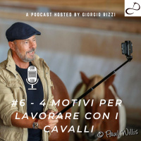 #6 - Le 4 ragioni di perché lavoro con i cavalli