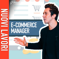 NUOVI LAVORI: E-COMMERCE MANAGER