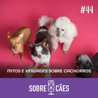 Mitos e verdades sobre os cachorros - Sobre Cães
