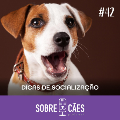 Sobre Cães