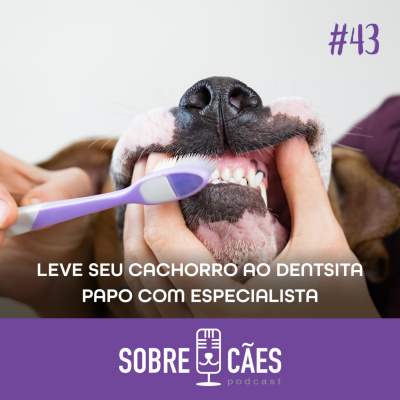 Sobre Cães