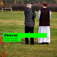 Zbierać