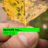 sposób na 