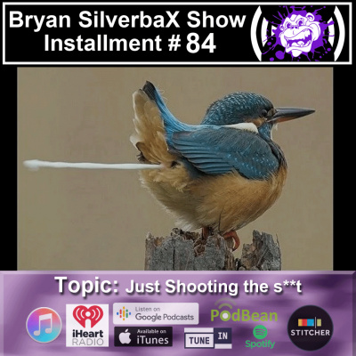 Sts Podcast With Silverbax