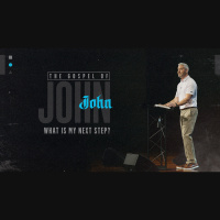 What Is My Next Step? (Audio)