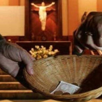 El compungido, ladrón de cepillos