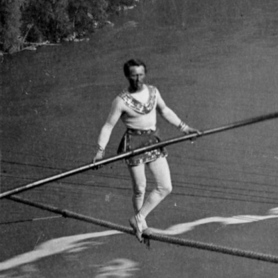 Gabinete De Curiosidades Del Doctor Plusvalías