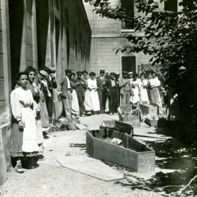 Gabinete De Curiosidades Del Doctor Plusvalías