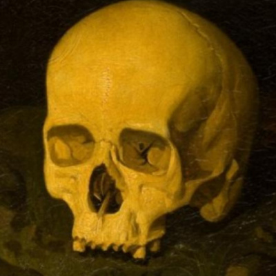 Gabinete De Curiosidades Del Doctor Plusvalías