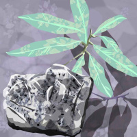 Linnean Podcast #61: mining metals with plants!