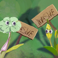 Linnean Podcast #58: Invasive, Native, Non-Native, Alien Plants...what is the difference?
